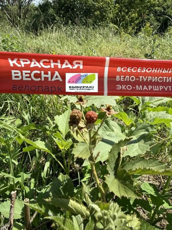 В Новочеркасске состоялся II этап открытого первенства города по маунтинбайку в дисциплине кросс-кантри В Новочеркасске состоялся II этап открытого первенства города по маунтинбайку в дисциплине кросс-кантри