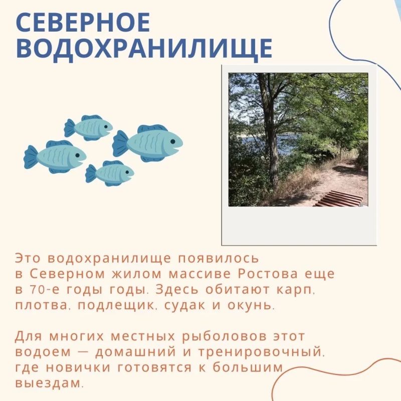 ТОП-5 рыбных мест в Ростове-на-Дону ТОП-5 рыбных мест в Ростове-на-Дону