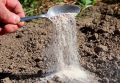 Как костная мука превращает почву в золотую: секреты увлекательного урожая