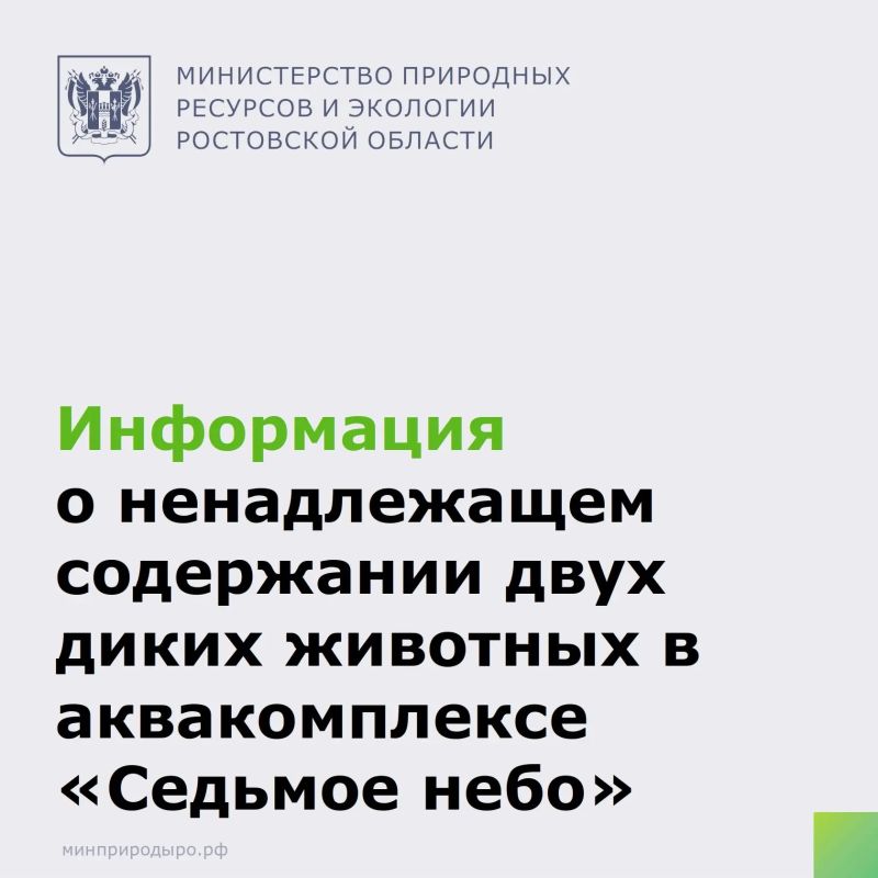 В сети Интернет появилась информация о ненадлежащем содержании медведей в аквакомплексе "Седьмое небо"