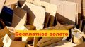 Как бесплатный картон из магазинов может удвоить урожай и приумножить радость на даче