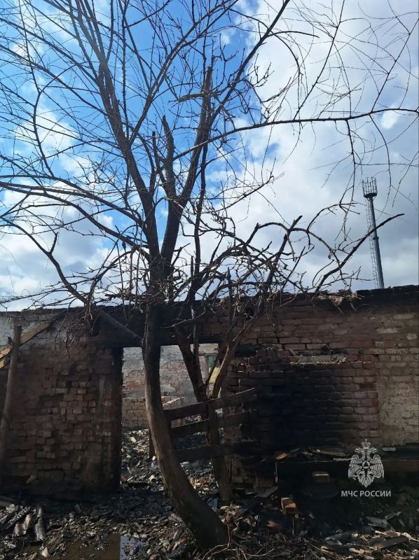 35 коз и овец спасли из горящего сарая в Зерноградском районе 35 коз и овец спасли из горящего сарая в Зерноградском районе