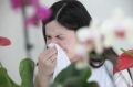 Во вторник в Ростовской области прогнозируется высокая активность пыльцы сорняков и злаков