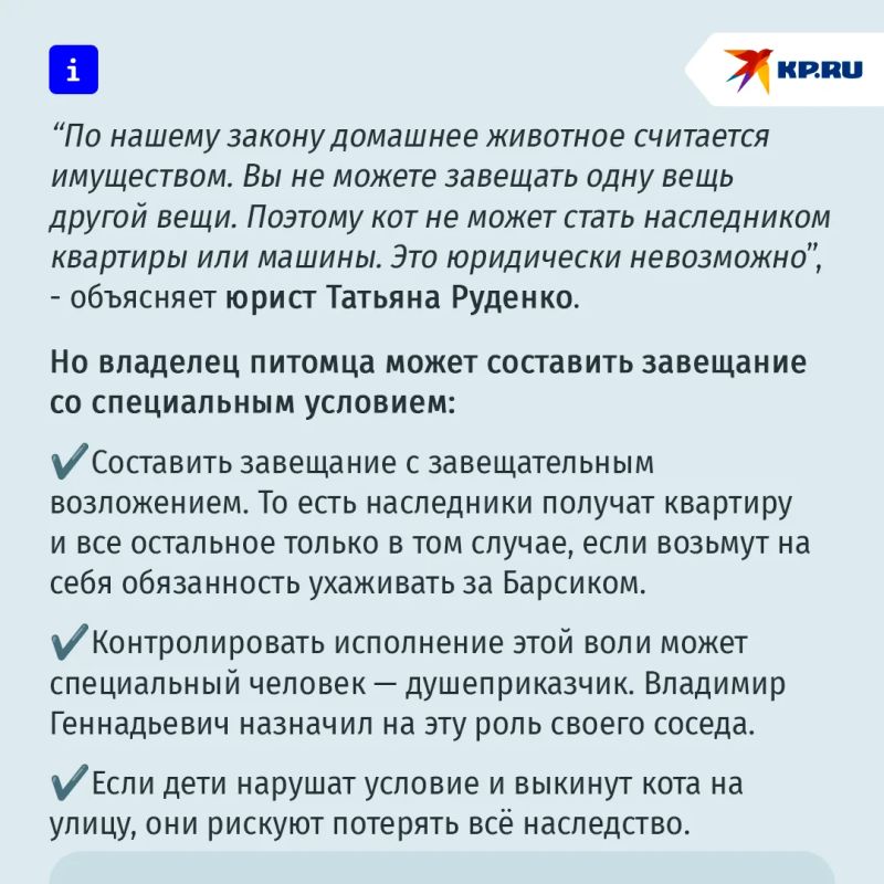 Ростовский пенсионер пришел к нотариусу, чтобы оставить квартиру и машину коту Барсику Ростовский пенсионер пришел к нотариусу, чтобы оставить квартиру и машину коту Барсику