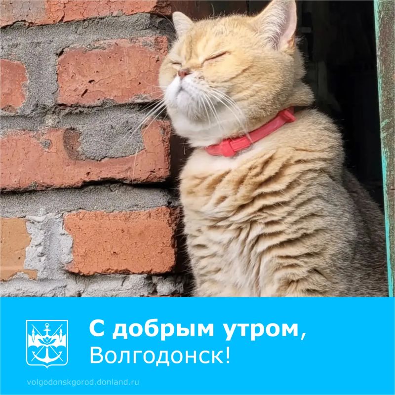 Доброе утро, жители Волгодонска!