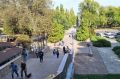 Готовиться ли Таганрогу к нашествию комаров-звонцов и полчищу пауков
