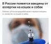 В России создают вакцину от аллергии на кошек и собак