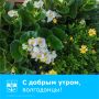 Доброе утро, жители Волгодонска!