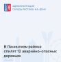С 8 июля на территории района выполняются работы по сносу сухих и аварийно-опасных деревьев, представляющих угрозу падения и причинения вреда имуществу или здоровью граждан