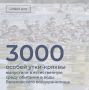 В воды Веселовского водохранилища Пролетарского района выпущено 3000 особей утки-кряквы, а также серых гусей