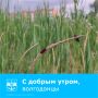 Доброе утро, жители Волгодонска!