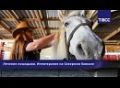 #Прямосейчас в РИЦ "ТАСС Юг" (г. Ростов-на-Дону) проходит пресс-конференция, посвященная научным исследованиям, сохранению биоразнообразия и экологическому мониторингу в Государственном природном биосферном заповеднике...