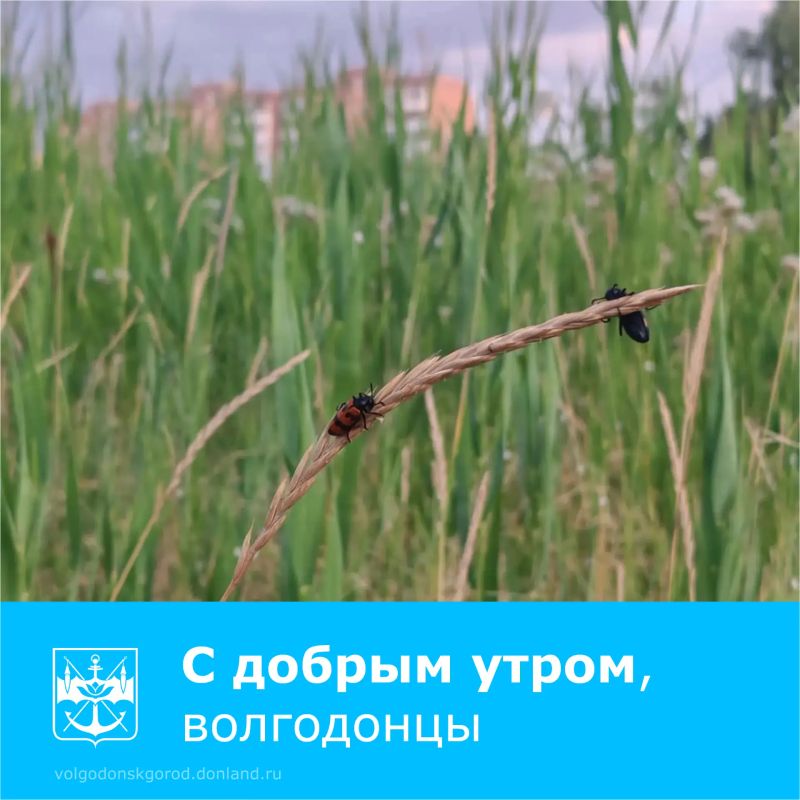 Доброе утро, жители Волгодонска!