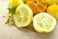 Огурец Цитрон: уникальный сорт с шаровидными плодами и отменным вкусом