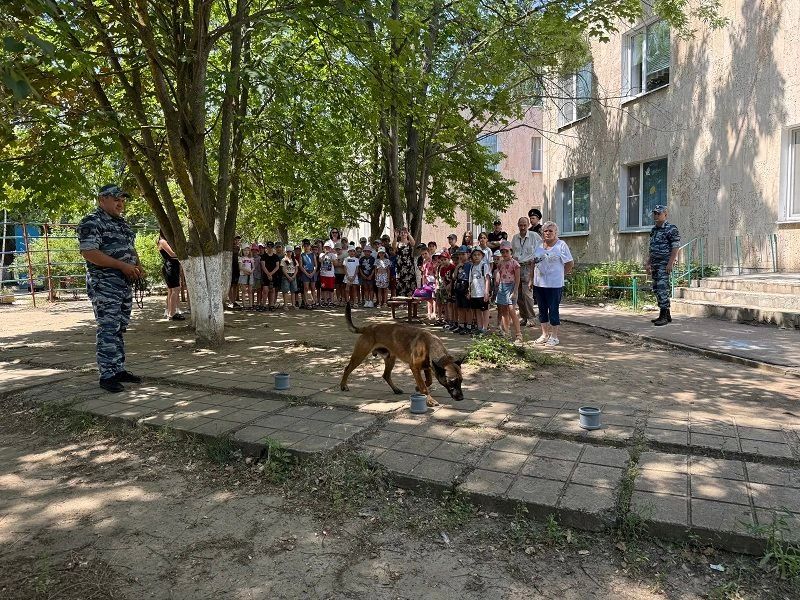 Полицейские Волгодонска провели познавательную встречу с воспитанниками пришкольного лагеря