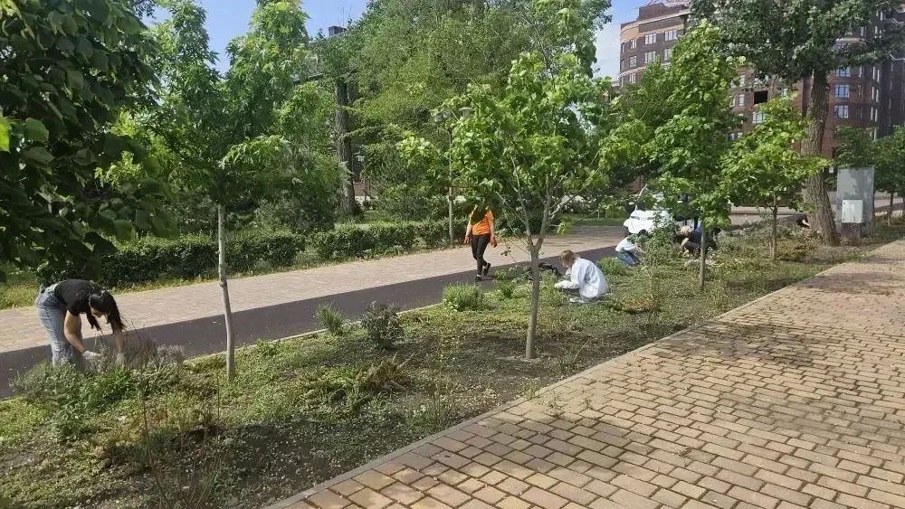Александр Скрябин: Лето — это не только время отдыха, но и отличная возможность получить первый трудовой опыт, принести пользу родному городу