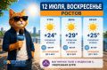 Погода в Ростове 12 июля: жара до +29