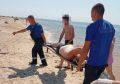 На Цимлянском пляже мужчину спасли после инсульта