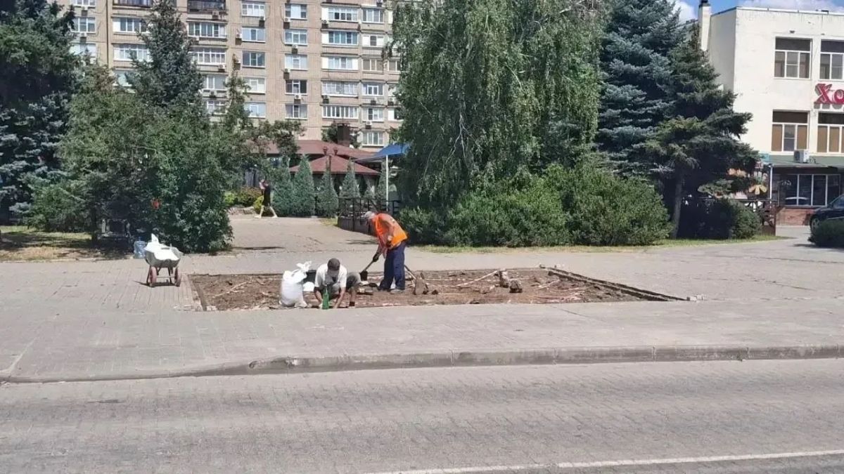 Чтобы предотвратить гибель деревьев и кустарников под палящим солнцем, коммунальные службы проводят усиленный полив: ДСиГХ и ИП Гвоздь М.В. полили зеленые насаждения на ул. Ленина, бульваре Тягливого, проспектах Строителей и... Чтобы предотвратить гибель деревьев и кустарников под палящим солнцем, коммунальные службы проводят усиленный полив: ДСиГХ и ИП Гвоздь М.В. полили зеленые насаждения на ул. Ленина, бульваре Тягливого, проспектах Строителей и...