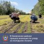 В Каменском районе прошла экоакция «Ликвидация зелёного пожара»