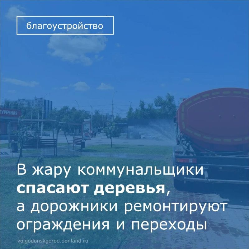 Чтобы предотвратить гибель деревьев и кустарников под палящим солнцем, коммунальные службы проводят усиленный полив: ДСиГХ и ИП Гвоздь М.В. полили зеленые насаждения на ул. Ленина, бульваре Тягливого, проспектах Строителей и...