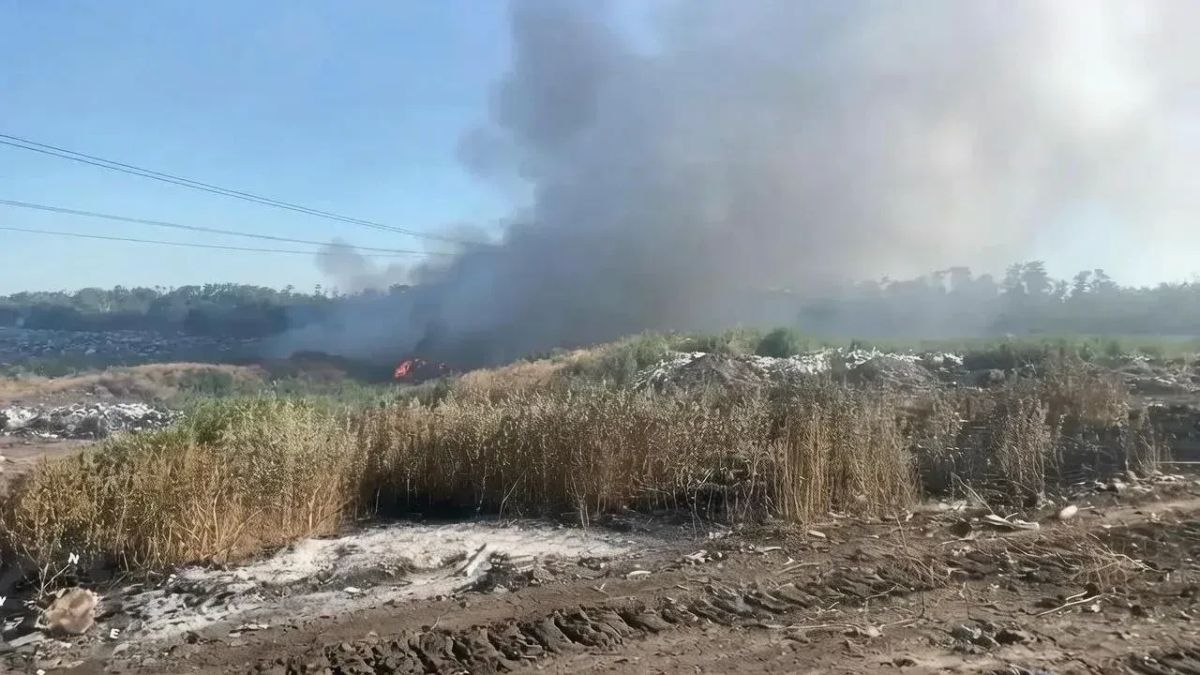 До 50 квадратных метров увеличилась площадь пожара на зерноградском мусорном полигоне, сообщила министр ЖКХ Ростовской области Антонина Пшеничная