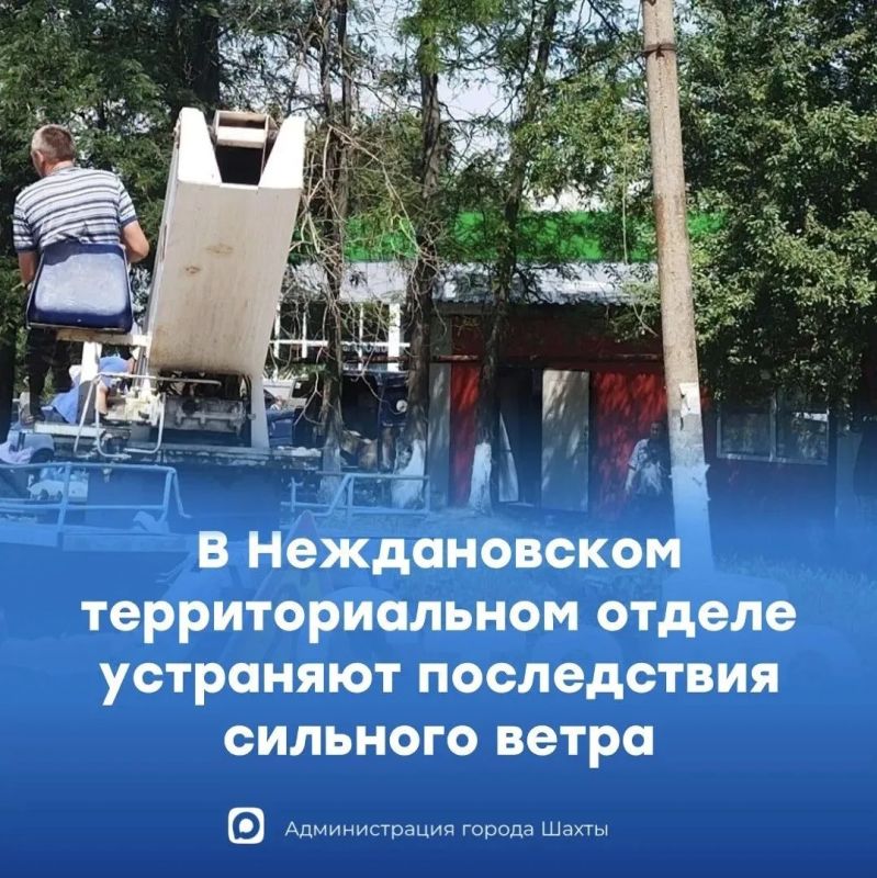 В Шахтах оперативно устраняют последствия падения дерева