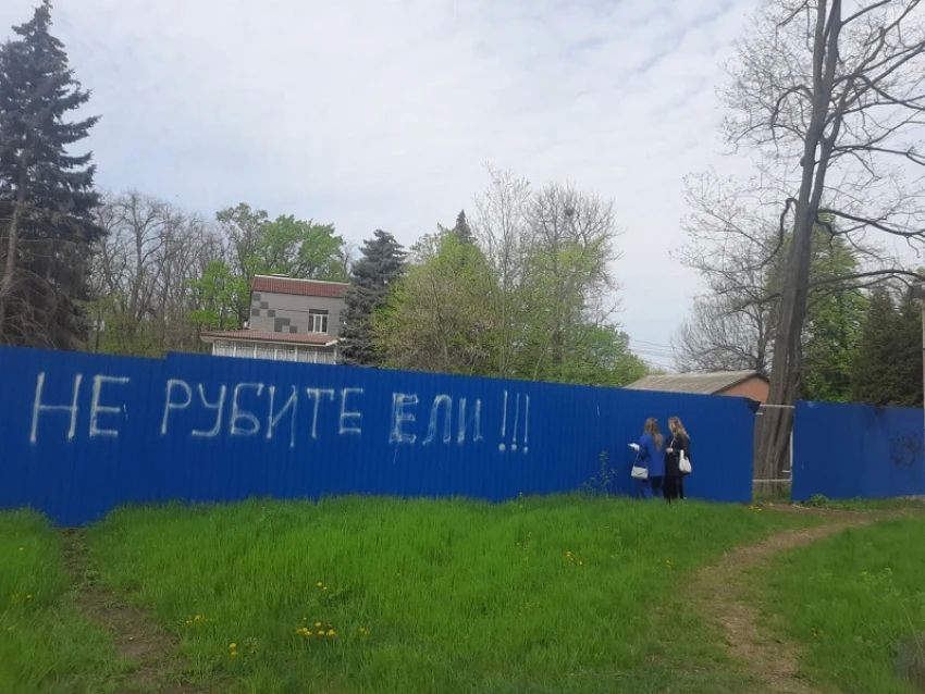 Суд о вырубке деревьев в Первомайском районе Ростова-на-Дону закрыли от слушателей и журналистов