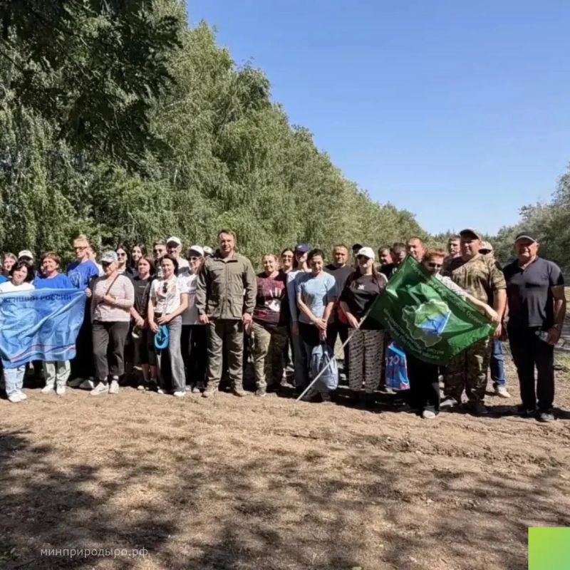В Каменском районе прошла «Ликвидация зеленого пожара» – экоакция по прополке лесных насаждений В Каменском районе прошла «Ликвидация зеленого пожара» – экоакция по прополке лесных насаждений