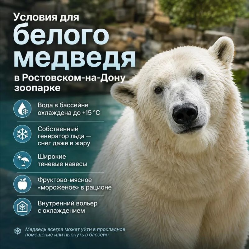 Что случилось с животными из Ростовского зоопарка?