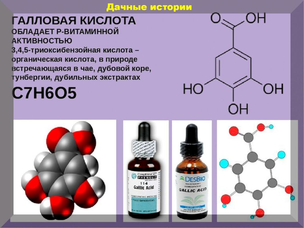Галловая кислота - природный стимулятор роста растений
