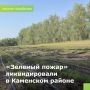 В Каменском районе прошла «Ликвидация зеленого пожара» – экоакция по прополке лесных насаждений