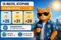 ������ � ������� 14 ����: ���� ���� ��������