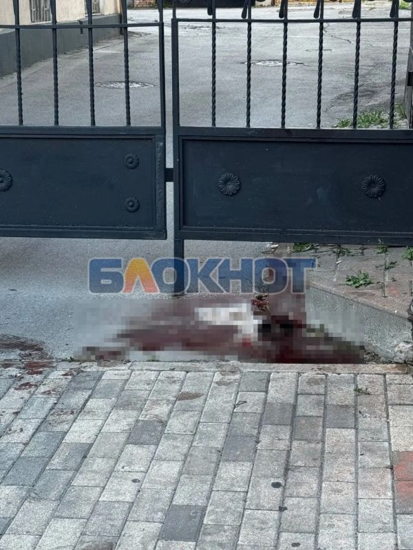 Вчера на Большой Садовой мужчина потерял много крови Вчера на Большой Садовой мужчина потерял много крови