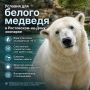 Что случилось с животными из Ростовского зоопарка?