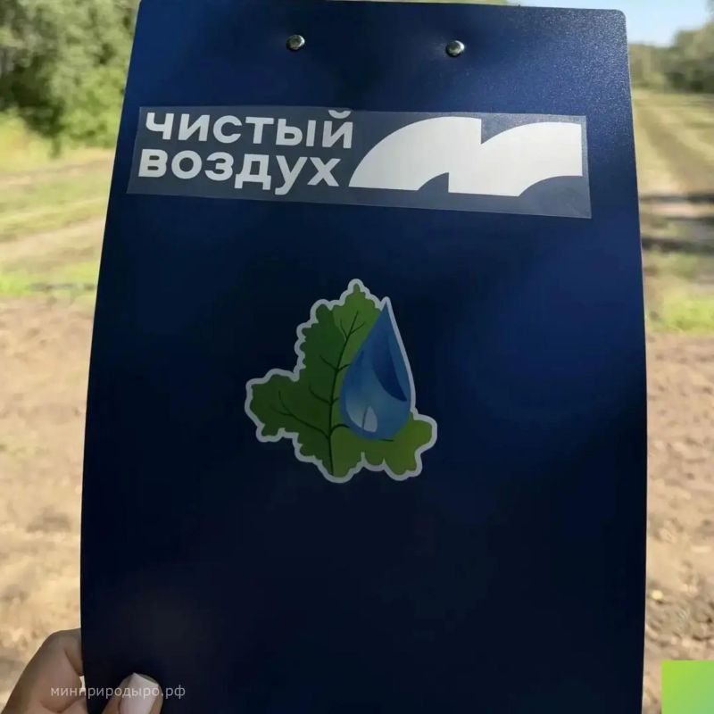 В Каменском районе прошла «Ликвидация зеленого пожара» – экоакция по прополке лесных насаждений В Каменском районе прошла «Ликвидация зеленого пожара» – экоакция по прополке лесных насаждений
