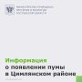 Специалисты минприроды рассмотрели информацию о появлении пумы на территории ст. Красноярской Цимлянского района