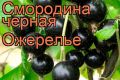 ��������� ��������: ������ ����� ��� ��������� ��������