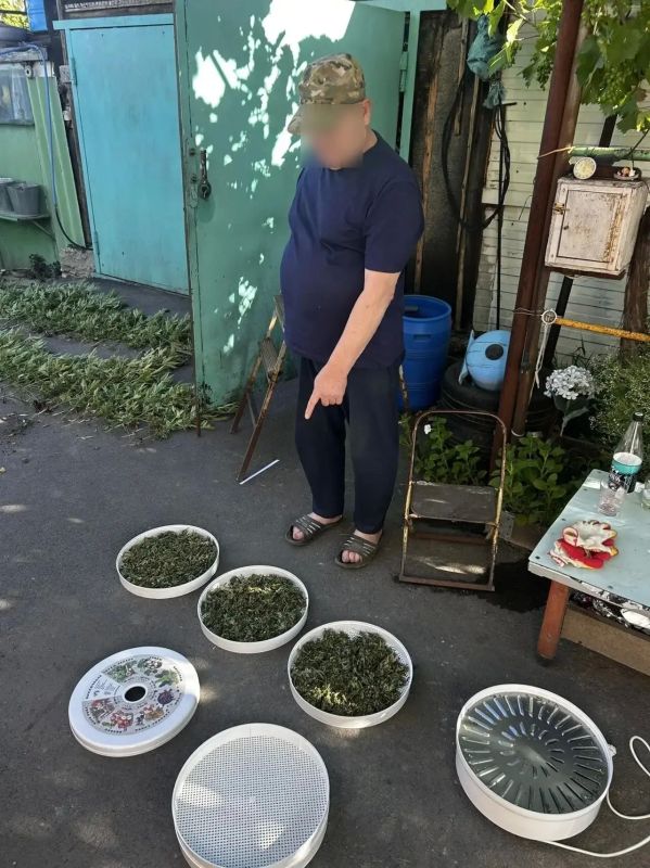 Полицейские пресекли культивирование наркосодержащих растений в Неклиновском районе