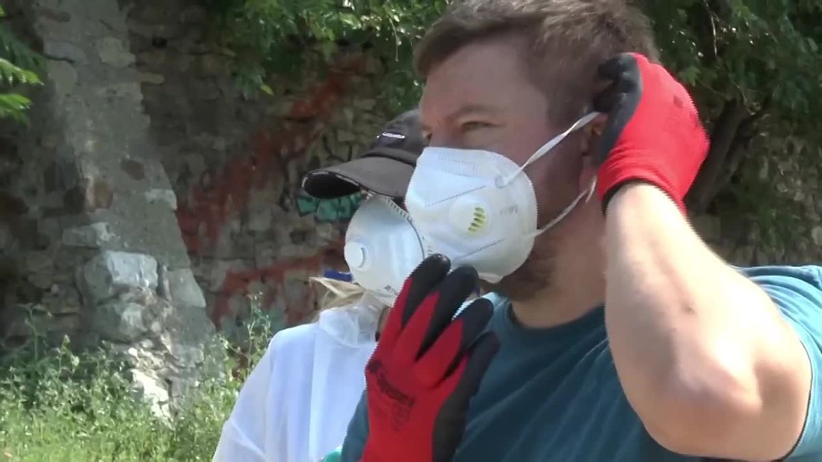 Таганроге на побережье залива ликвидировали основные загрязнения нефтепродуктами