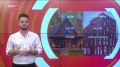 Что лучше: частный дом или квартира?