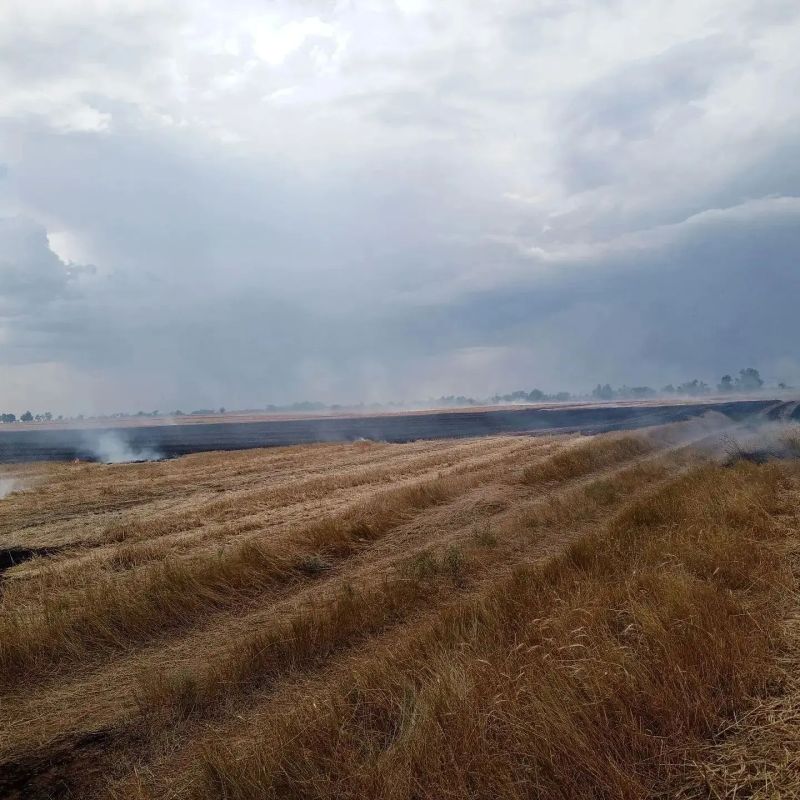 Огнеборцы ликвидировали пожар на пшеничном поле в Заветинском районе Огнеборцы ликвидировали пожар на пшеничном поле в Заветинском районе