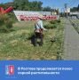 На территории районов города продолжается покос сорной растительности