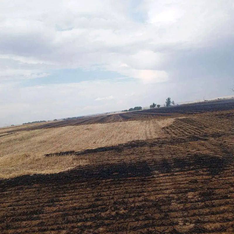 Огнеборцы ликвидировали пожар на пшеничном поле в Заветинском районе Огнеборцы ликвидировали пожар на пшеничном поле в Заветинском районе