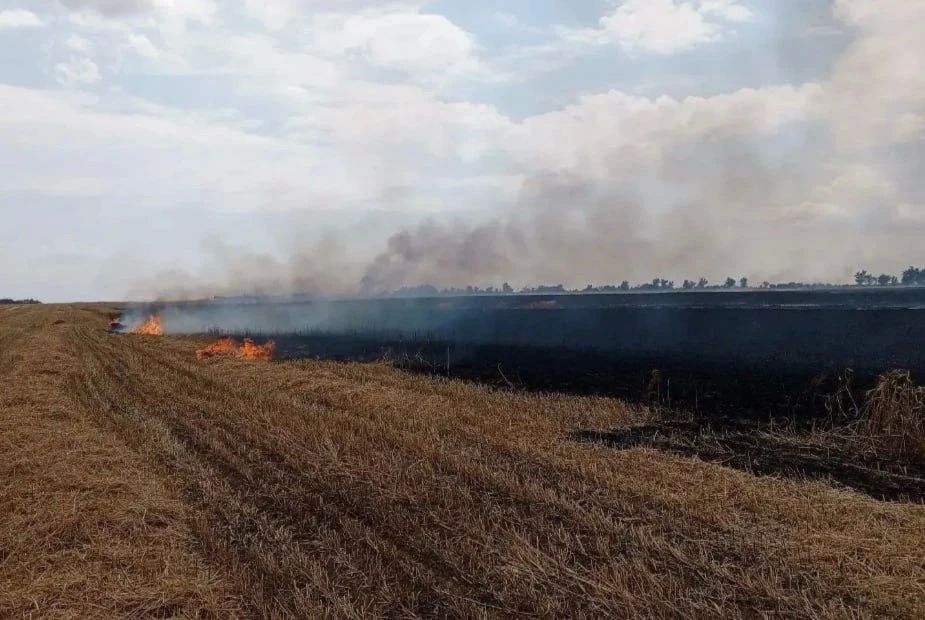 В Заветинском районе сгорело 8 гектаров пшеницы В Заветинском районе сгорело 8 гектаров пшеницы