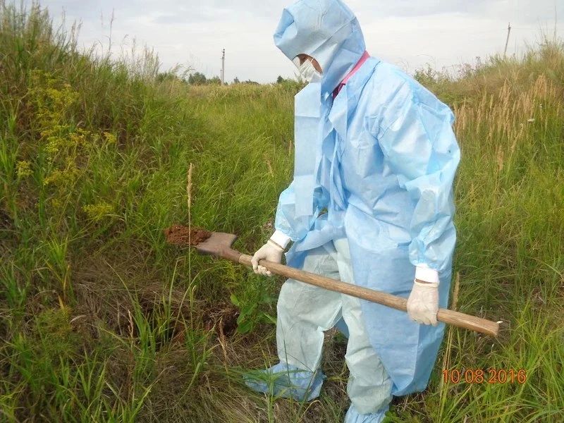 На Дону на месте складирования отходов уровень цинка превышен в 2 тысячи раз