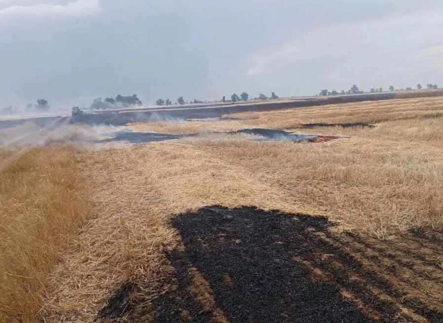 В Заветинском районе сгорело 8 гектаров пшеницы