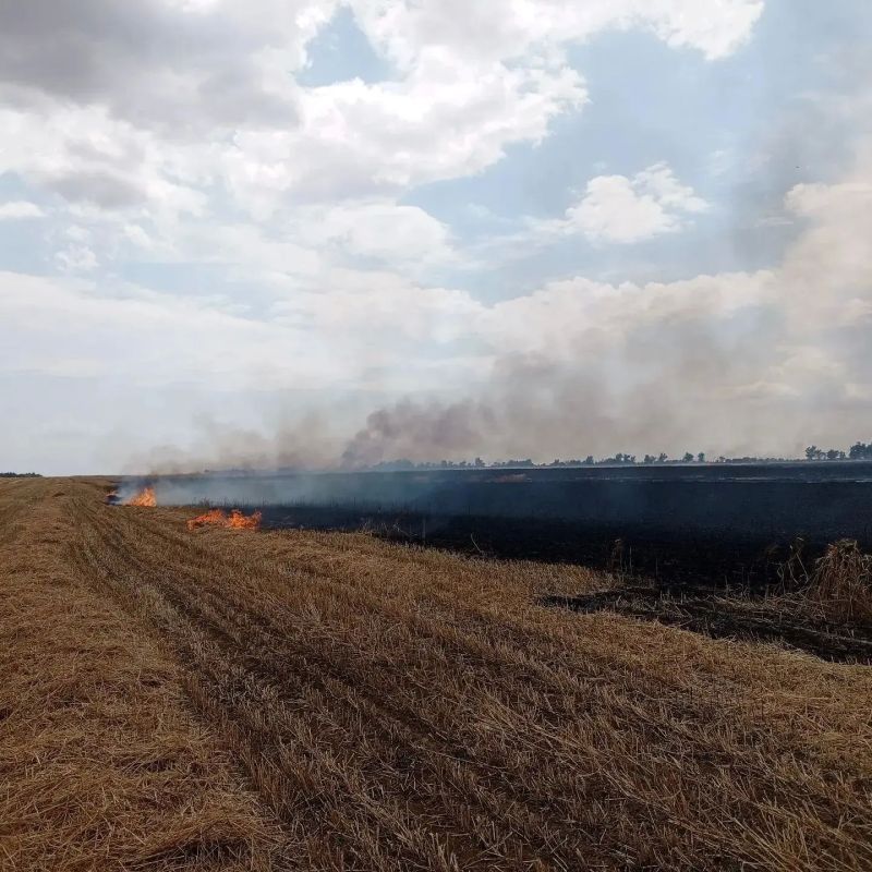 Огнеборцы ликвидировали пожар на пшеничном поле в Заветинском районе
