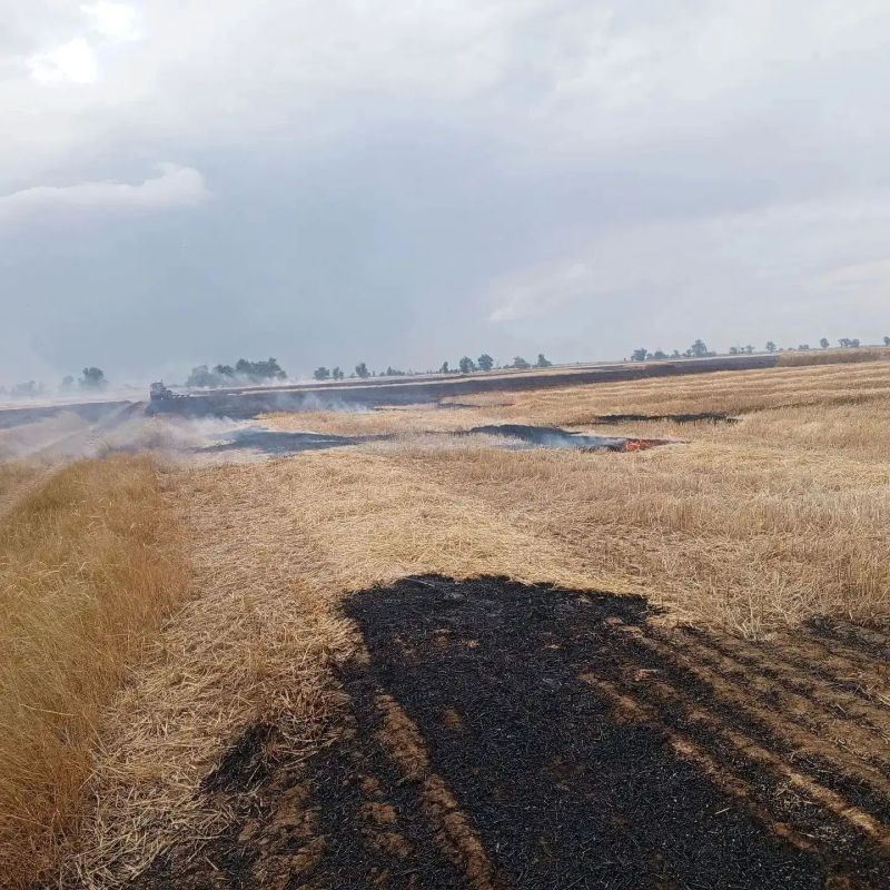 Огнеборцы ликвидировали пожар на пшеничном поле в Заветинском районе Огнеборцы ликвидировали пожар на пшеничном поле в Заветинском районе