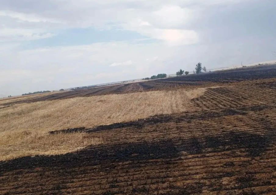 В Заветинском районе сгорело 8 гектаров пшеницы В Заветинском районе сгорело 8 гектаров пшеницы